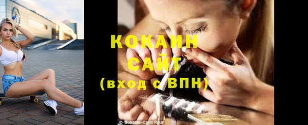стаф Корсаков