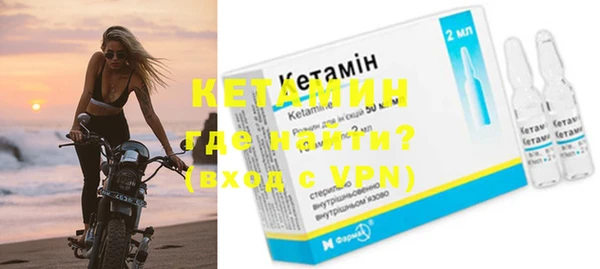 стаф Корсаков