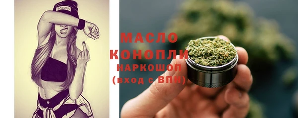 стаф Корсаков