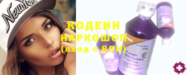 стаф Корсаков