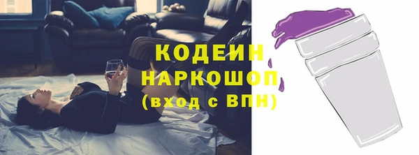 стаф Корсаков