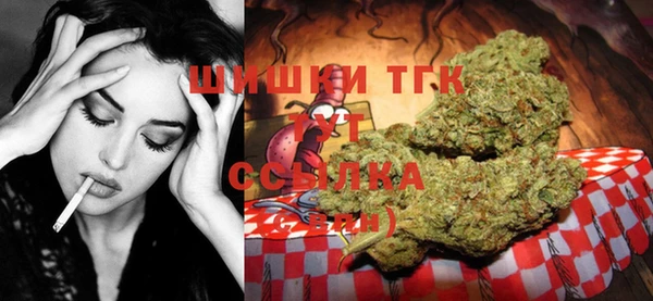 стаф Корсаков