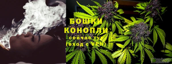 стаф Корсаков