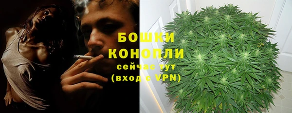 стаф Корсаков