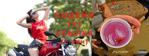 стаф Корсаков