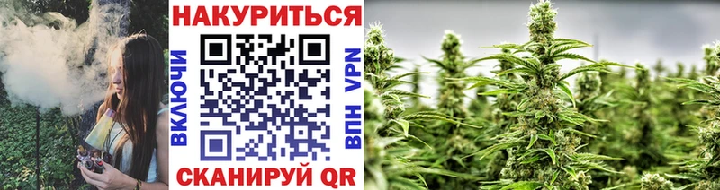 Купить где  Бабаево  Канабис THC 21% 